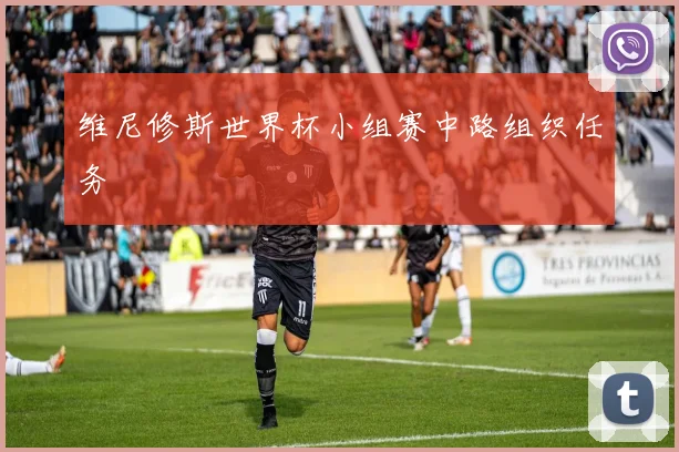 维尼修斯世界杯小组赛中路组织任务