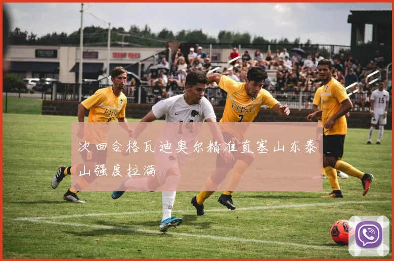 次回合格瓦迪奥尔精准直塞山东泰山强度拉满