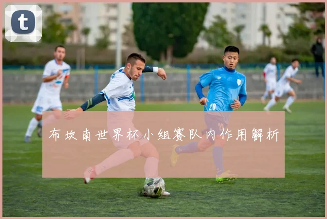 布坎南世界杯小组赛队内作用解析
